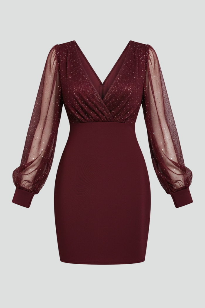 Women’s Mini Dress with V Neck and Sheer Sleeves