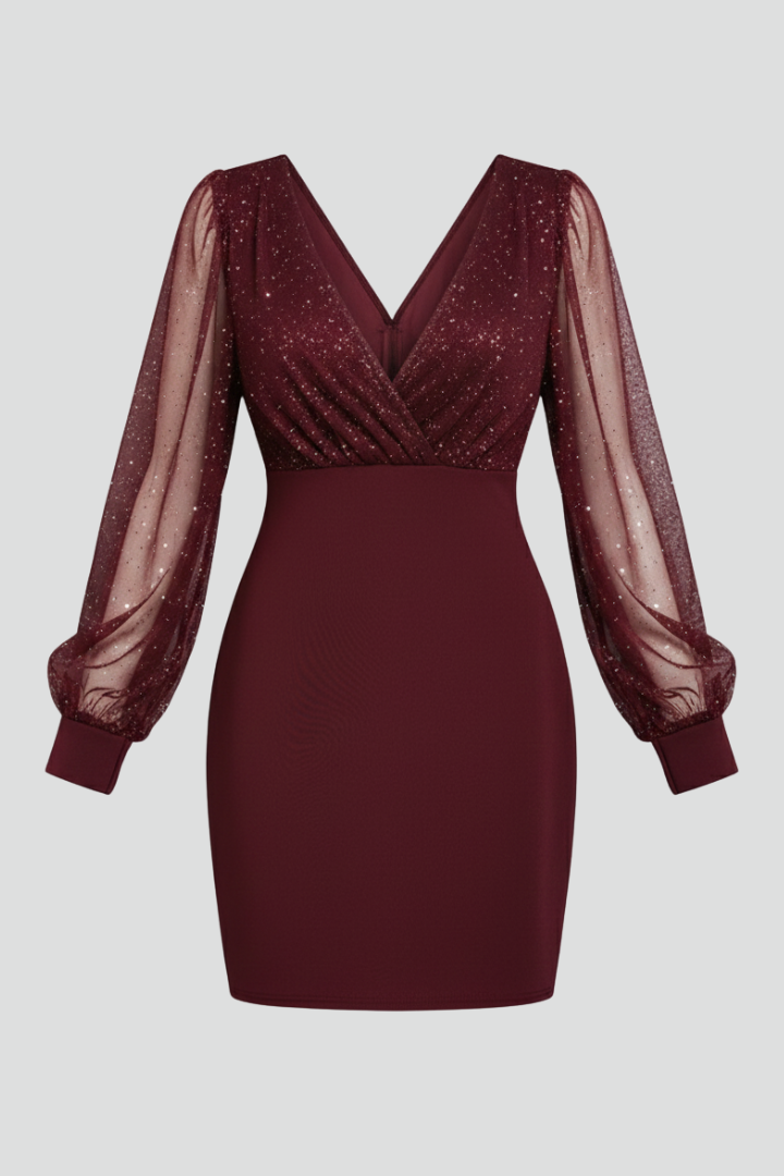 Women’s Mini Dress with V Neck and Sheer Sleeves